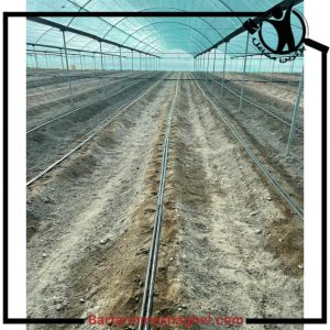 احداث گلخانه ببر جیرفت،احداث گلخانه ببر در جیرفت،مشاهده اطلاعات احداث گلخانه ببر جیرفت در سامانه برترین مشاغل
