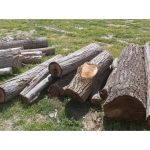 خرید چوب ظاهری سنقر