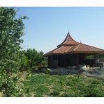 اجرای سقف شیروانی به سبک چینی باقری نجف آباد