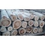 خرید چوب ظاهری سنقر