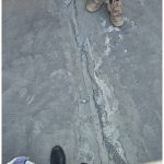 نشت یابی مهندس امیرخان گرگان