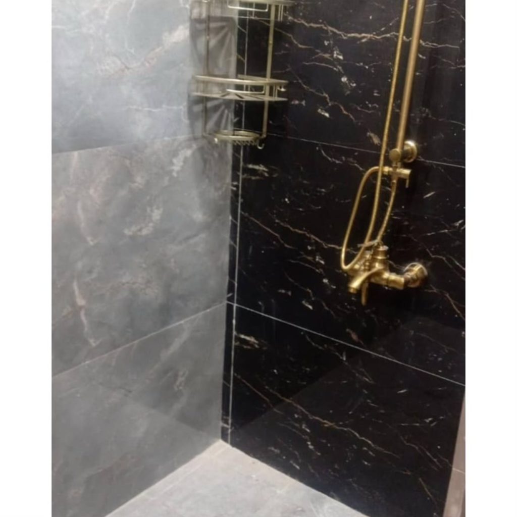 کاشی کاری حیاتی اردبیل