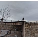 جوشکار سیار محمودی ساوه