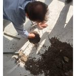نشت یابی با دستگاه غفوری رودسر