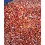 فروش عمده هسته خرما زمانی تبریز