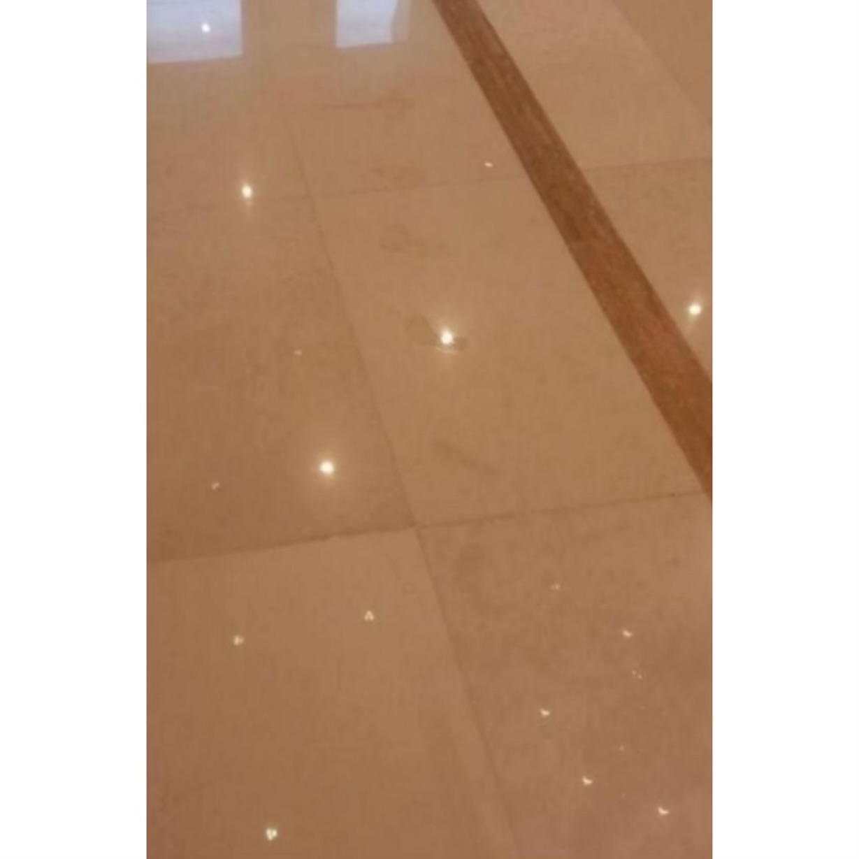 خدمات کفسابی بهروزی تبریز،خدمات کفسابی بهروزی در تبریز،مشاهده اطلاعات خدمات کفسابی بهروزی تبریز در سامانه برترین مشاغل