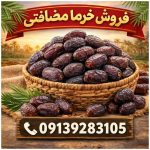 فروش عمده هسته خرما زمانی تبریز