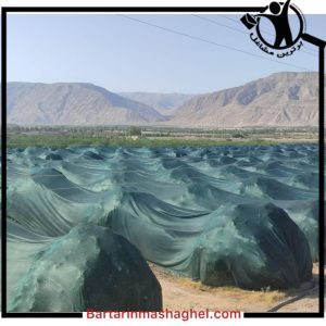 توری سایبان و شید گلخانه بوشهر،توری سایبان و شید گلخانه در بوشهر،مشاهده اطلاعات توری سایبان و شید گلخانه بوشهر در سامانه برترین مشاغل