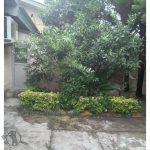 اجرا فضای سبز پرماسی متل قو