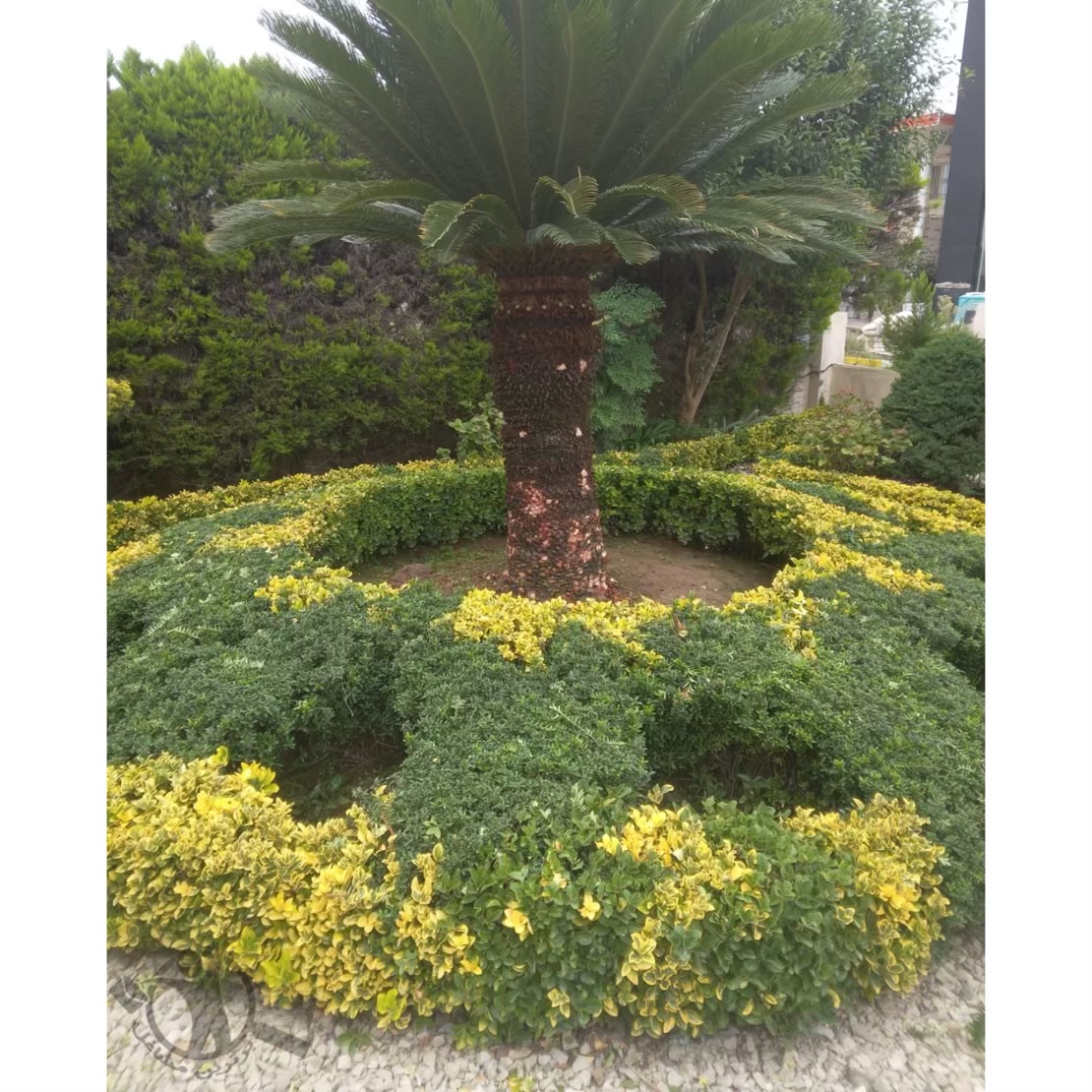 اجرا فضای سبز پرماسی متل قو،اجرا فضای سبز پرماسی در متل قو،مشاهده اطلاعات اجرا فضای سبز پرماسی متل قو در سامانه برترین مشاغل