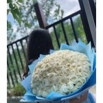 گلفروشی گل نرگس ورامین