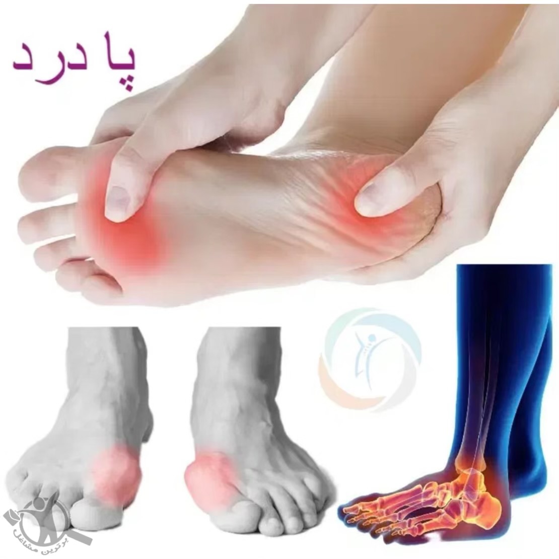 ماساژ درمانی فرجی زنجان،ماساژ درمانی فرجی در زنجان،مشاهده اطلاعات ماساژ درمانی فرجی زنجان در سامانه برترین مشاغل