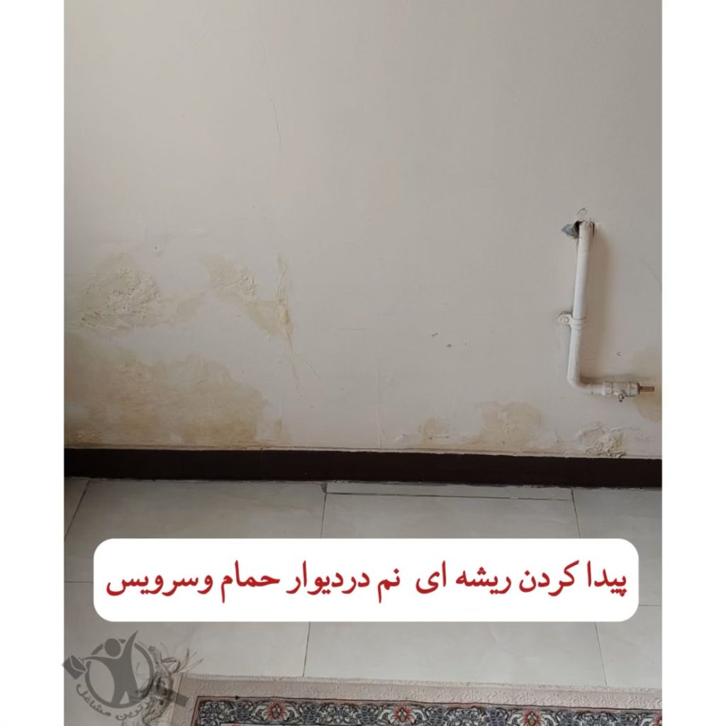 نشت یابی پرتو شمال تهران