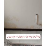 نشت یابی پرتو شمال تهران
