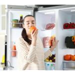 تعمیرات یخچال آقایی مشگین شهر