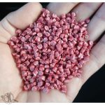 گرانول پارسا باقرشهر