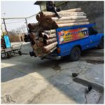 قالیشویی افشار تنکمان
