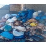 فروش ضایعات خرما زمانی بم
