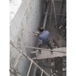 کاشت میلگرد عرب خانی نیشابور