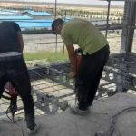 کاشت میلگرد عرب خانی نیشابور