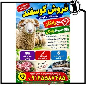 خرید گوسفند ایران زمین شهر ری،خرید گوسفند ایران زمین در شهر ری،مشاهده اطلاعات خرید گوسفند ایران زمین شهر ری در سامانه برترین مشاغل