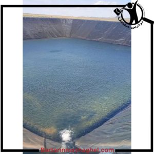 ورق استخر صلاتی نیشابور،ورق استخر صلاتی در نیشابور،مشاهده اطلاعات ورق استخر صلاتی نیشابور در سامانه برترین مشاغل