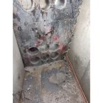 کرگیری و کاشت میلگرد خسروی اهواز