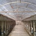 توری سایبان و شید گلخانه قزوین