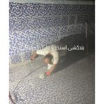 اجرای نانو عایق راسا ارومیه