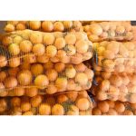 توری سایبان و شید گلخانه گرگان