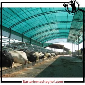 توری سایبان و شید گلخانه مشهد،توری سایبان و شید گلخانه در مشهد،مشاهده اطلاعات توری سایبان و شید گلخانه مشهد در سامانه برترین مشاغل