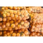 توری سایبان و شید گلخانه تبریز