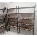 تولید رگال سبلان کابین مشگین شهر